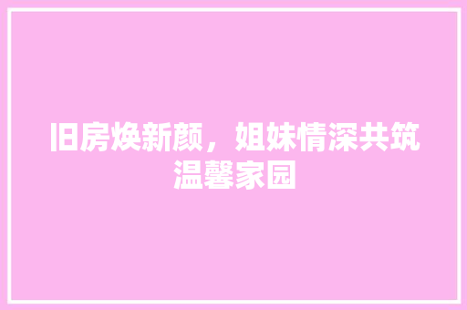 旧房焕新颜，姐妹情深共筑温馨家园 厨房维修