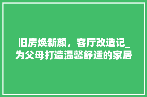 旧房焕新颜，客厅改造记_为父母打造温馨舒适的家居空间 墙体维修