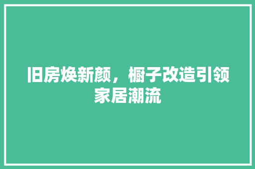 旧房焕新颜，橱子改造引领家居潮流 厨房维修