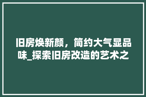 旧房焕新颜，简约大气显品味_探索旧房改造的艺术之路 厨房维修