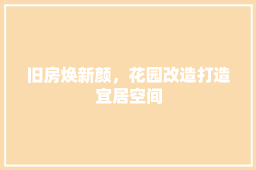 旧房焕新颜，花园改造打造宜居空间 厨房维修