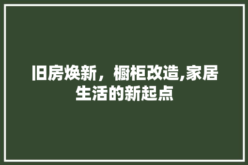 旧房焕新，橱柜改造,家居生活的新起点 家电维修