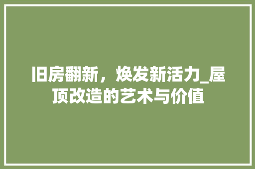 旧房翻新，焕发新活力_屋顶改造的艺术与价值 墙体维修
