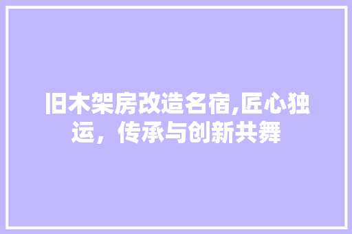 旧木架房改造名宿,匠心独运，传承与创新共舞 墙体维修