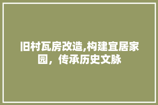 旧村瓦房改造,构建宜居家园，传承历史文脉 厨房维修