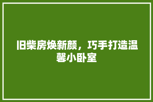 旧柴房焕新颜，巧手打造温馨小卧室 汽车维修