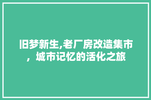旧梦新生,老厂房改造集市，城市记忆的活化之旅 墙体维修