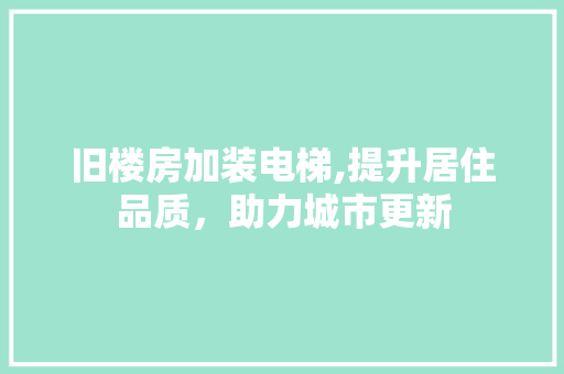 旧楼房加装电梯,提升居住品质，助力城市更新 墙体维修