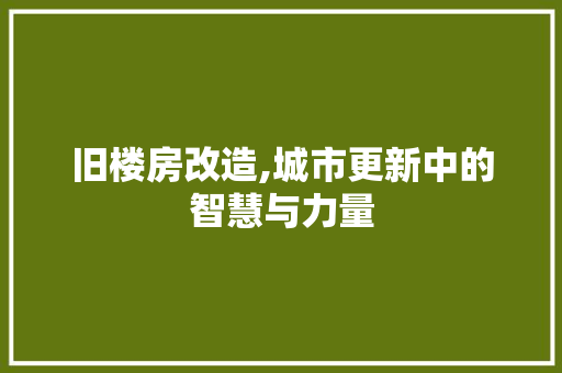 旧楼房改造,城市更新中的智慧与力量 汽车维修