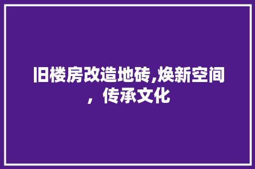 旧楼房改造地砖,焕新空间，传承文化 厨房维修