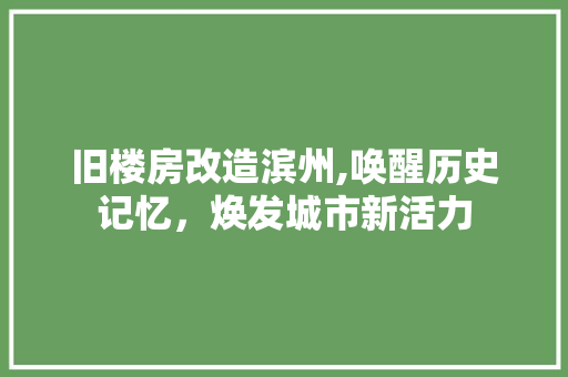 旧楼房改造滨州,唤醒历史记忆，焕发城市新活力 汽车维修