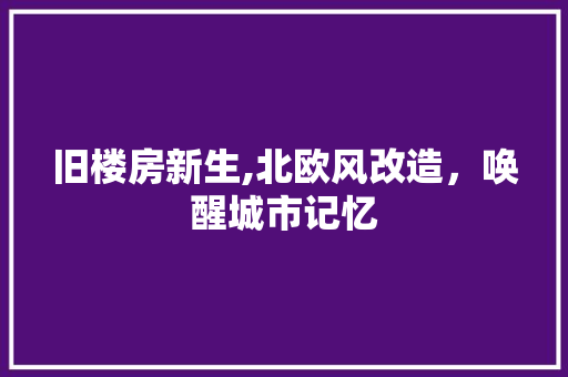 旧楼房新生,北欧风改造，唤醒城市记忆 厨房维修