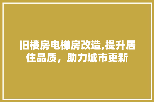 旧楼房电梯房改造,提升居住品质，助力城市更新 厨房维修