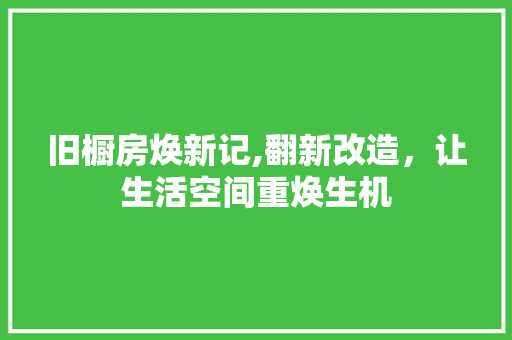 旧橱房焕新记,翻新改造，让生活空间重焕生机 厨房维修