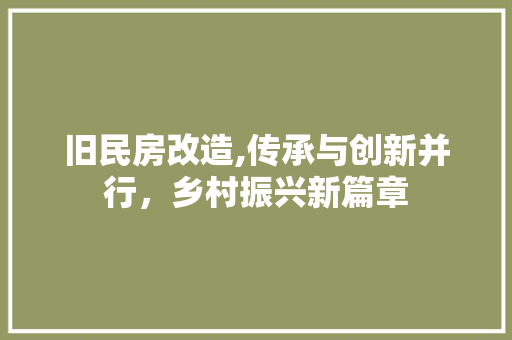 旧民房改造,传承与创新并行，乡村振兴新篇章