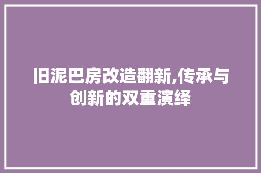旧泥巴房改造翻新,传承与创新的双重演绎 厨房维修