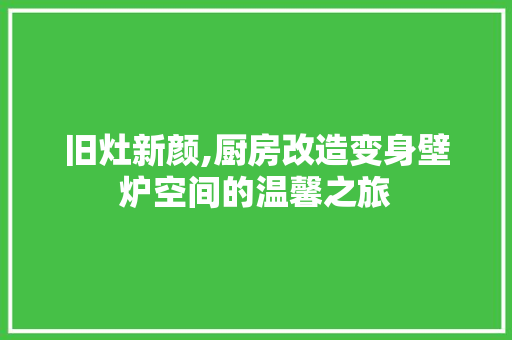 旧灶新颜,厨房改造变身壁炉空间的温馨之旅 家电维修