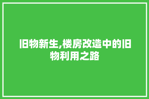 旧物新生,楼房改造中的旧物利用之路 汽车维修