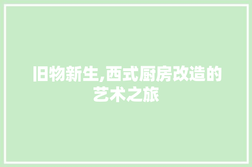 旧物新生,西式厨房改造的艺术之旅 家电维修