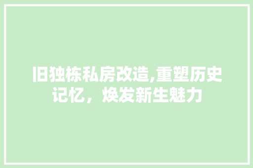 旧独栋私房改造,重塑历史记忆，焕发新生魅力 墙体维修