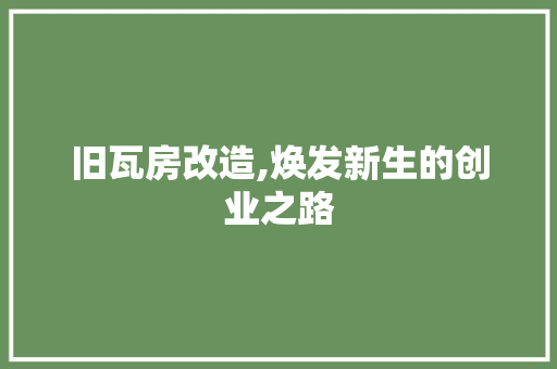 旧瓦房改造,焕发新生的创业之路 墙体维修