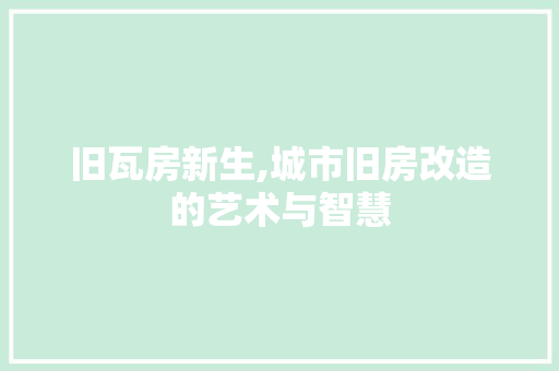 旧瓦房新生,城市旧房改造的艺术与智慧