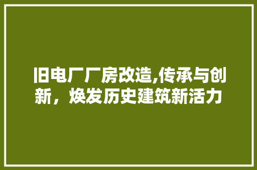 旧电厂厂房改造,传承与创新，焕发历史建筑新活力 墙体维修