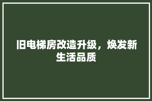 旧电梯房改造升级，焕发新生活品质