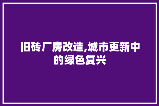 旧砖厂房改造,城市更新中的绿色复兴 厨房维修