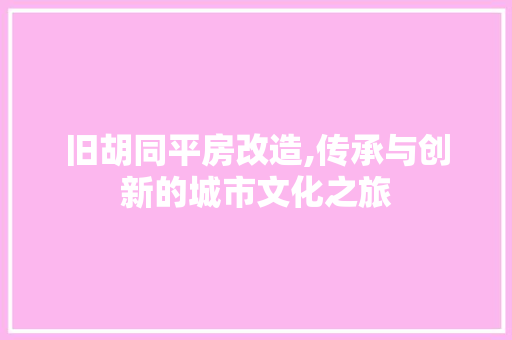 旧胡同平房改造,传承与创新的城市文化之旅 墙体维修