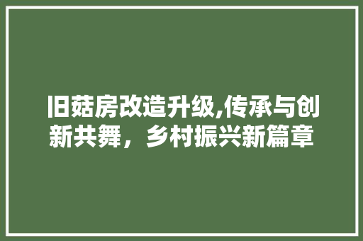 旧菇房改造升级,传承与创新共舞，乡村振兴新篇章 家电维修