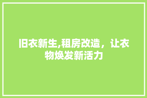 旧衣新生,租房改造，让衣物焕发新活力 汽车维修