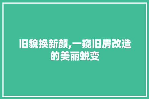 旧貌换新颜,一窥旧房改造的美丽蜕变