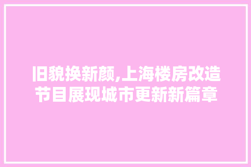 旧貌换新颜,上海楼房改造节目展现城市更新新篇章 综合便民