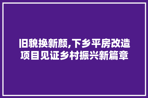旧貌换新颜,下乡平房改造项目见证乡村振兴新篇章 家电维修