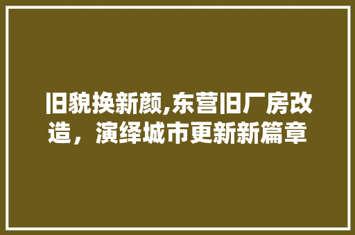 旧貌换新颜,东营旧厂房改造，演绎城市更新新篇章 墙体维修