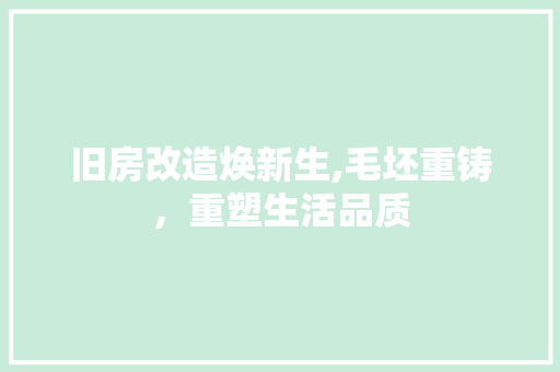 旧房改造焕新生,毛坯重铸，重塑生活品质 家电维修