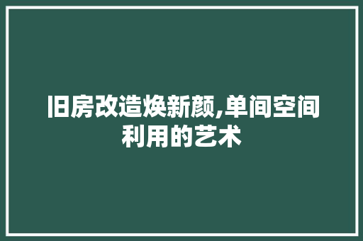 旧房改造焕新颜,单间空间利用的艺术 汽车维修