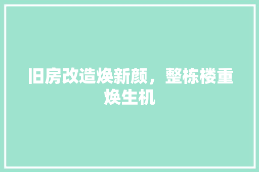 旧房改造焕新颜，整栋楼重焕生机 综合便民