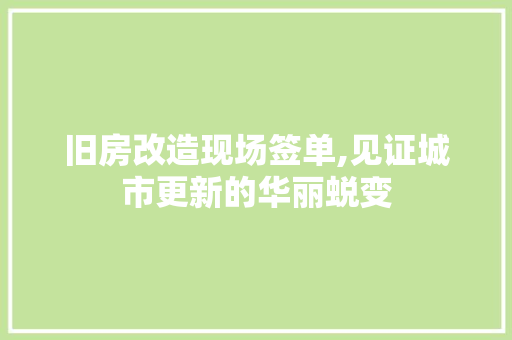 旧房改造现场签单,见证城市更新的华丽蜕变