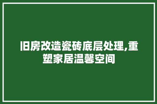 旧房改造瓷砖底层处理,重塑家居温馨空间 厨房维修
