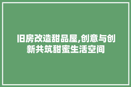 旧房改造甜品屋,创意与创新共筑甜蜜生活空间 家电维修