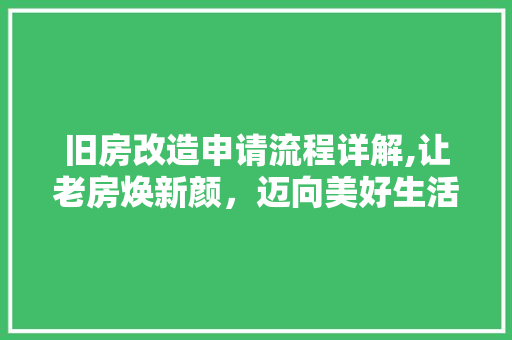 旧房改造申请流程详解,让老房焕新颜，迈向美好生活 厨房维修
