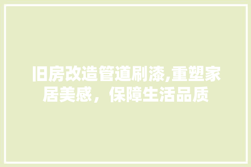 旧房改造管道刷漆,重塑家居美感，保障生活品质 综合便民