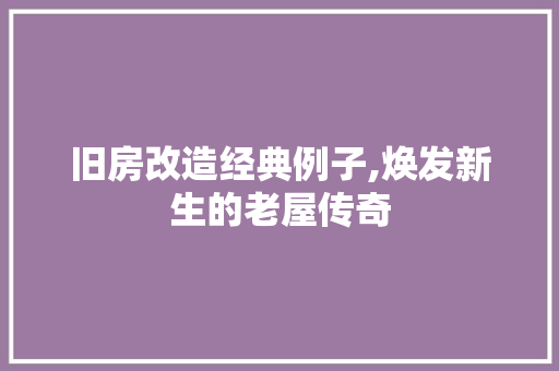 旧房改造经典例子,焕发新生的老屋传奇 汽车维修