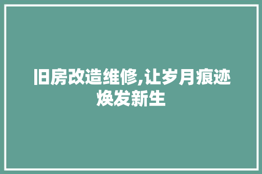 旧房改造维修,让岁月痕迹焕发新生 综合便民
