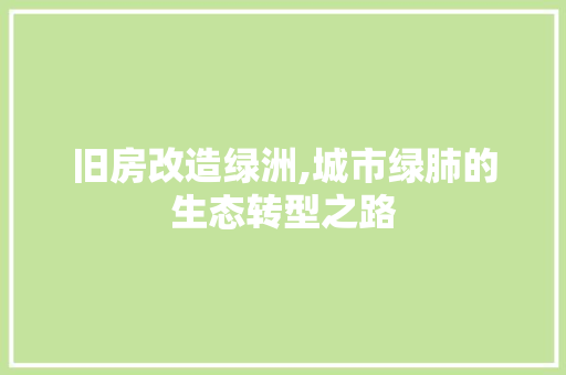 旧房改造绿洲,城市绿肺的生态转型之路 综合便民