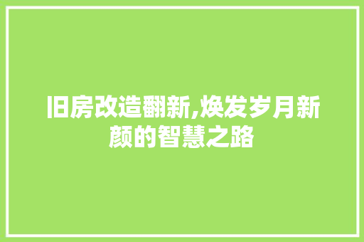 旧房改造翻新,焕发岁月新颜的智慧之路