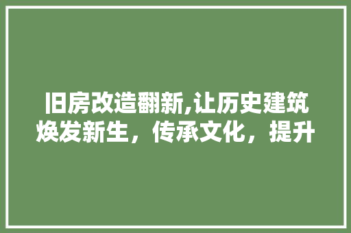 旧房改造翻新,让历史建筑焕发新生，传承文化，提升居住品质 综合便民