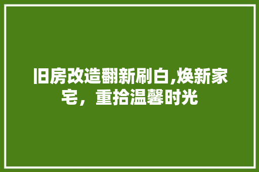 旧房改造翻新刷白,焕新家宅，重拾温馨时光 汽车维修